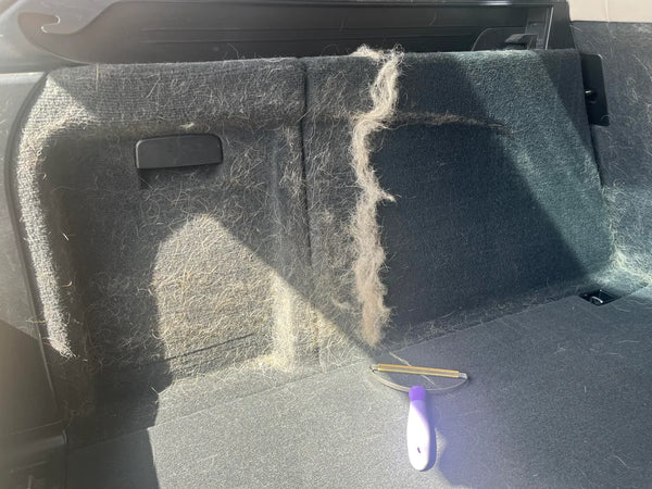 How to Get Rid of Pet Hair from Car Seats and Carpets - main